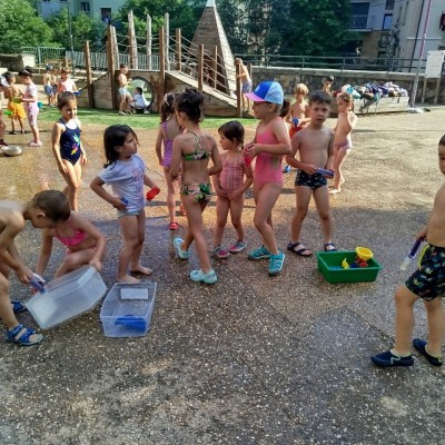 IMG_20250619_163733_735.jpg