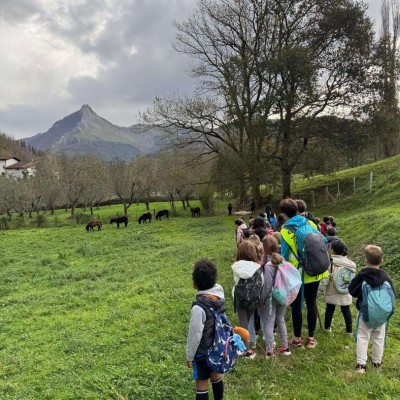 fc80ee3d-8d68-488b-b523-06b5f1f2a9b3 (1).JPG