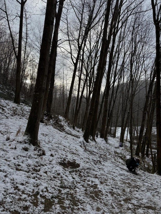 8f5fcd19-b10f-4e31-8340-78ab2f8bb0a4(1) (1)(2).jpeg