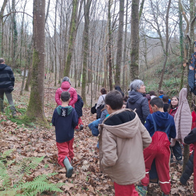 Basoan zzehar ibilbide gidatuen gurasoekin.jpeg