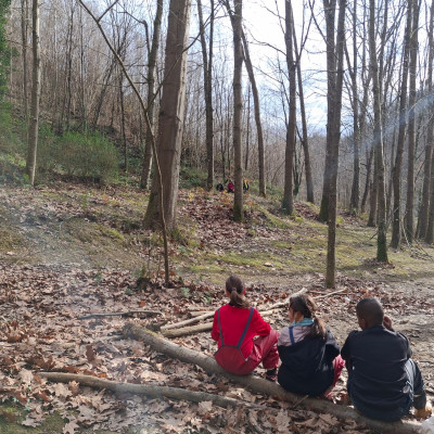 Gurasoek iristeko zai  2.jpeg