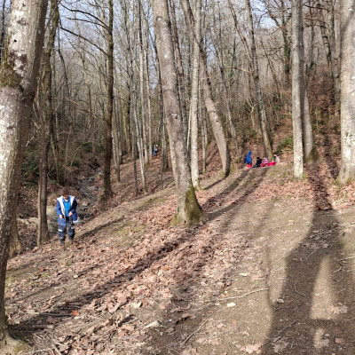 Gurasoek iristeko zai.jpeg