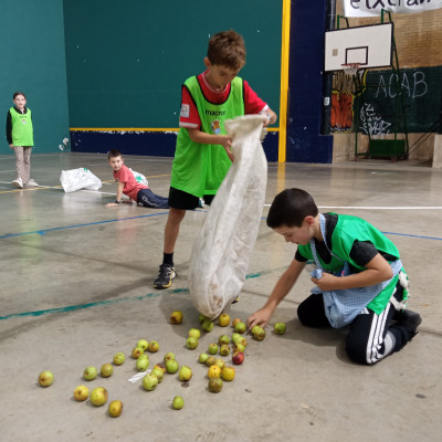 IMG_20261021_162919.jpg