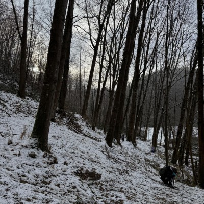 8f5fcd19-b10f-4e31-8340-78ab2f8bb0a4(1) (1)(2).jpeg