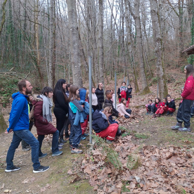 Txabolari buruzko azalpenak.jpeg